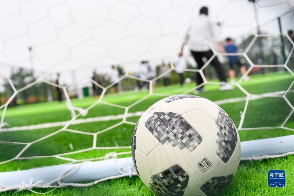 赛中的地位 赛中的地位