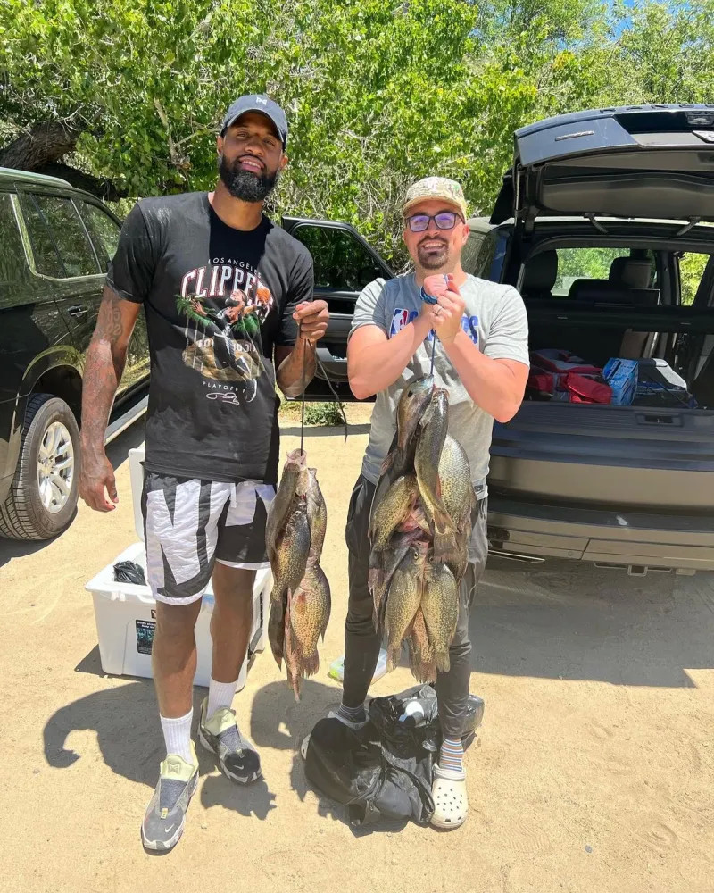 为一种新兴 为一种新兴