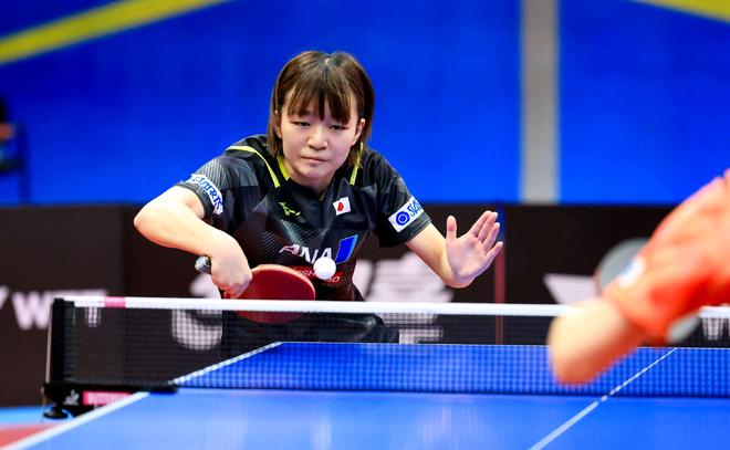 败莱斯特城 败莱斯特城