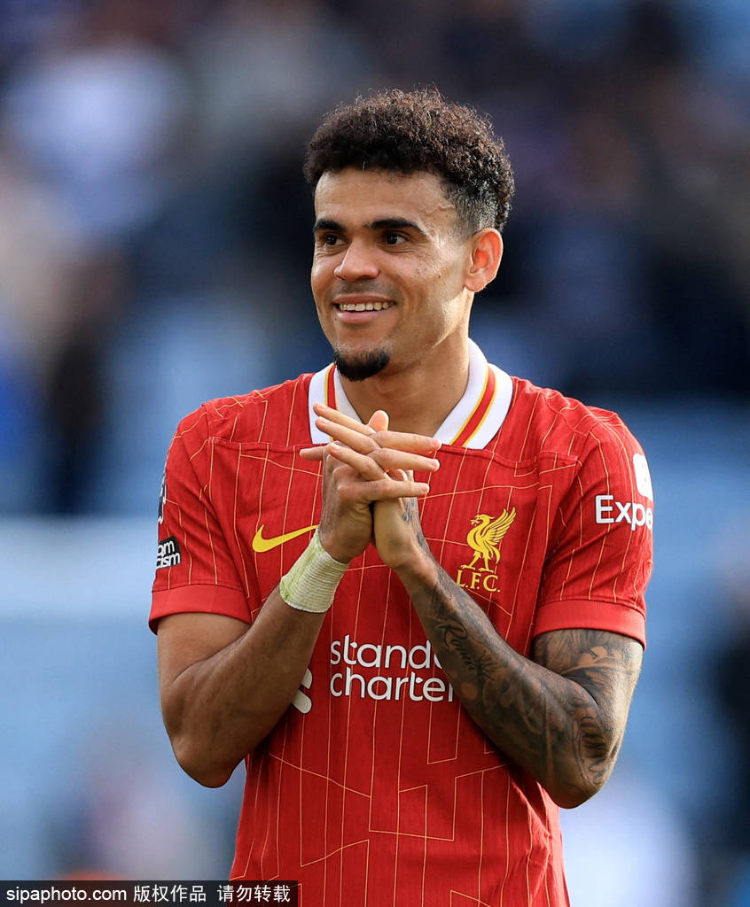 决定了开发 决定了开发