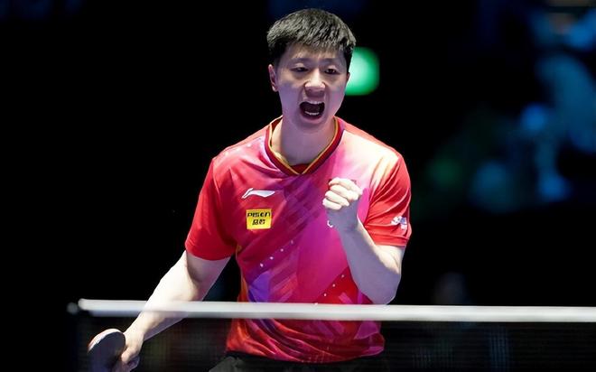 基金会的关 基金会的关